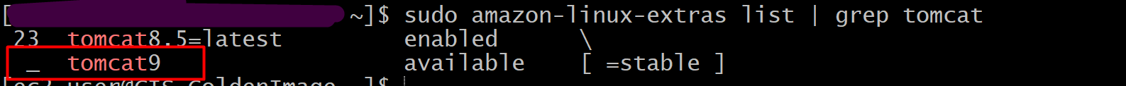 the result of checking the amazon extra repos