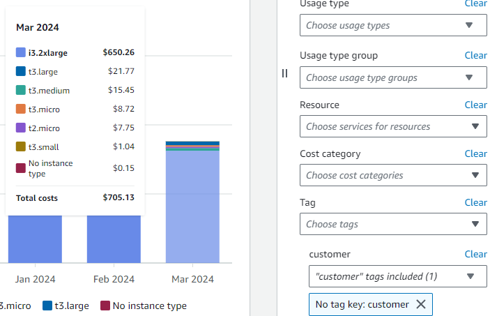Cost Explorer with Instance type Dimension and No tag key: customer filter