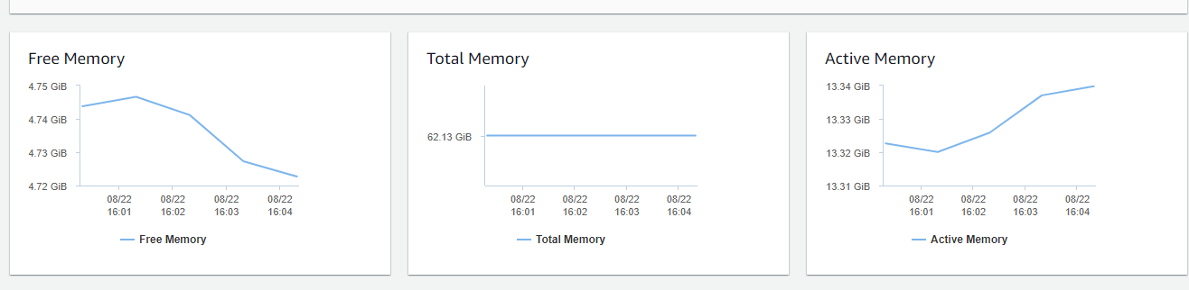 RDS memory usage graph