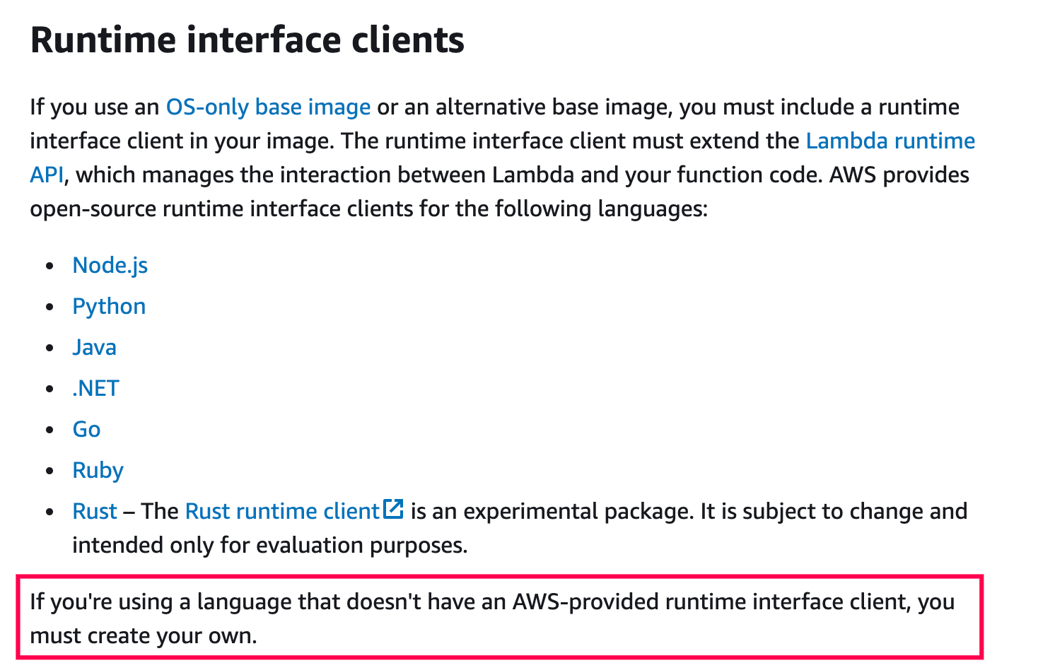 aws runtime interface doc