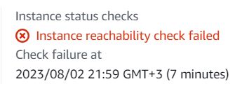 instance reachability check failed error